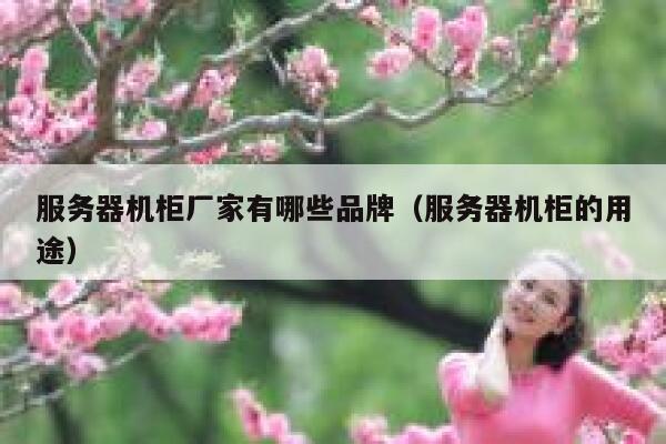 服务器机柜厂家有哪些品牌（服务器机柜的用途） 第1张
