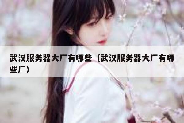 武汉服务器大厂有哪些（武汉服务器大厂有哪些厂） 第1张