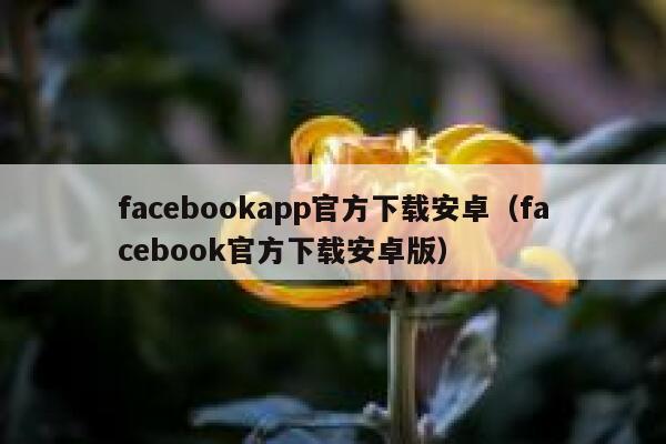 facebookapp官方下载安卓（facebook官方下载安卓版） 第1张