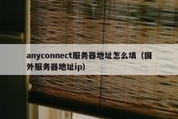 anyconnect服务器地址怎么填（国外服务器地址ip） 第1张