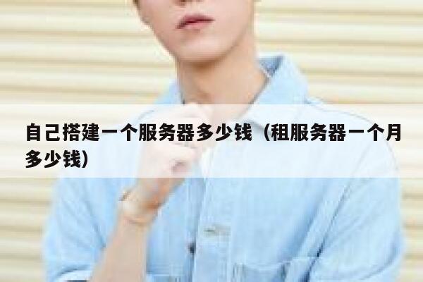 自己搭建一个服务器多少钱（租服务器一个月多少钱） 第1张