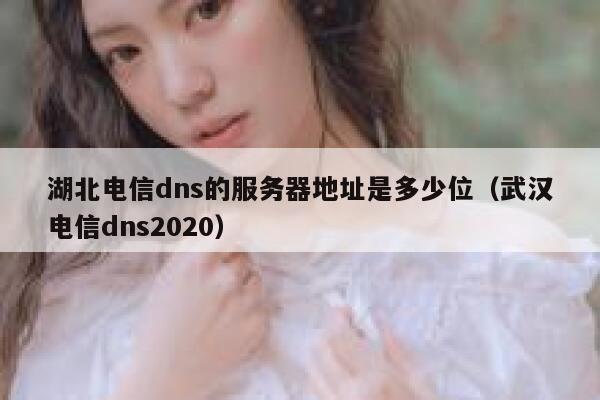 湖北电信dns的服务器地址是多少位(武汉电信dns2020) 第1张 湖北电信dns的服务器地址是多少位(武汉电信dns2020) 第1张
