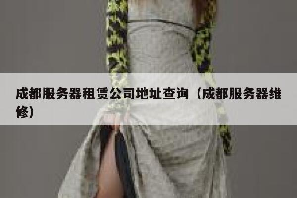 成都服务器租赁公司地址查询(成都服务器维修) 第1张 成都服务器租赁公司地址查询(成都服务器维修) 第1张