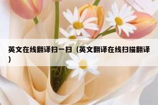 英文在线翻译扫一扫（英文翻译在线扫描翻译） 第1张