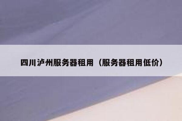 四川泸州服务器租用（服务器租用低价） 第1张