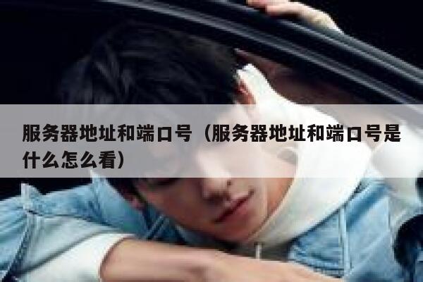 服务器地址和端口号（服务器地址和端口号是什么怎么看） 第1张