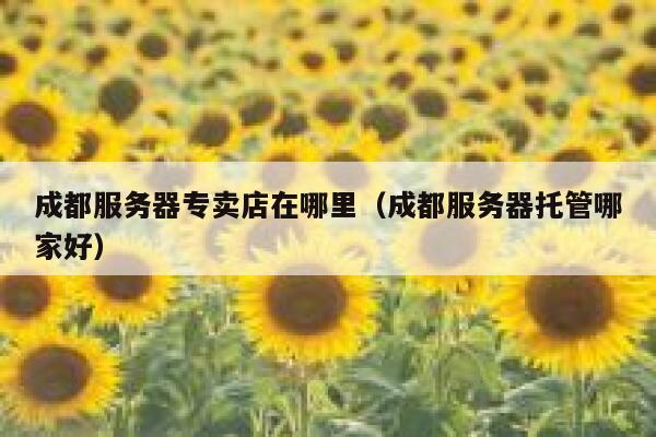 成都服务器专卖店在哪里（成都服务器托管哪家好） 第1张