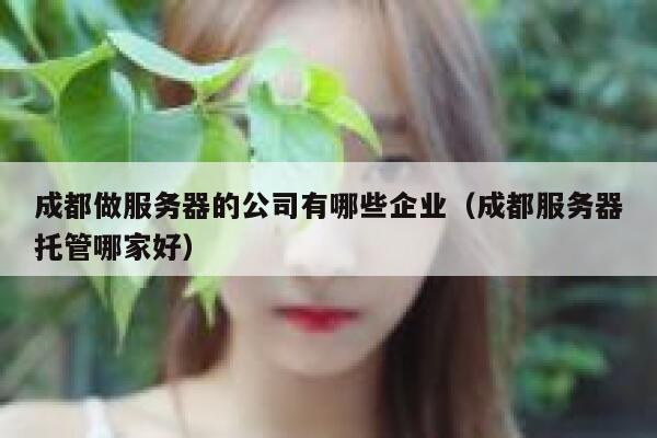 成都做服务器的公司有哪些企业（成都服务器托管哪家好） 第1张