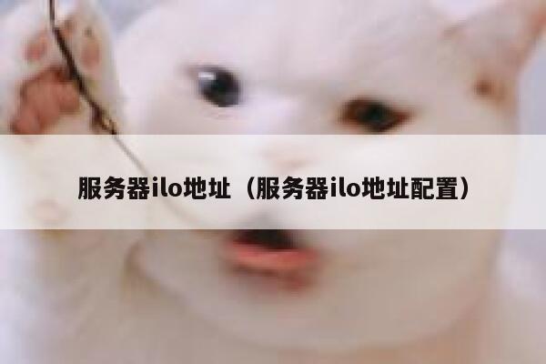 服务器ilo地址(服务器ilo地址配置) 第1张 服务器ilo地址(服务器ilo地址配置) 第1张