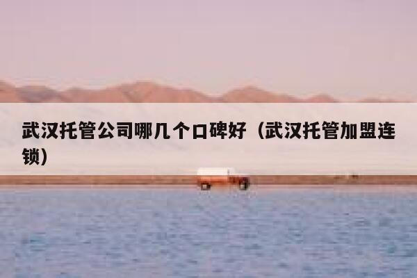 武汉托管公司哪几个口碑好(武汉托管加盟连锁) 第1张 武汉托管公司哪几个口碑好(武汉托管加盟连锁) 第1张