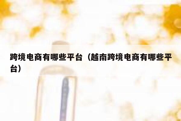 跨境电商有哪些平台（越南跨境电商有哪些平台） 第1张