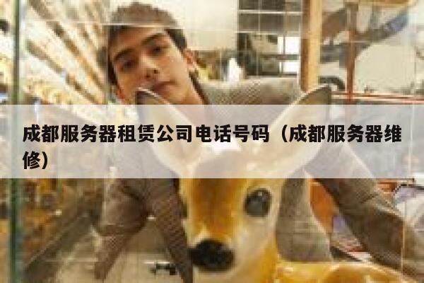 成都服务器租赁公司电话号码(成都服务器维修) 第1张 成都服务器租赁公司电话号码(成都服务器维修) 第1张