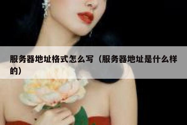 服务器地址格式怎么写（服务器地址是什么样的） 第1张