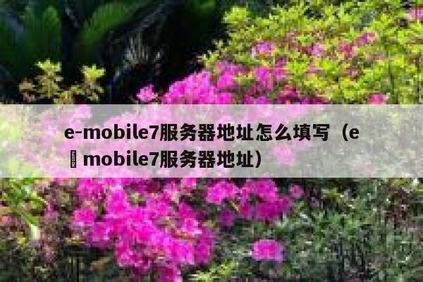 e-mobile7服务器地址怎么填写（e–mobile7服务器地址） 第1张