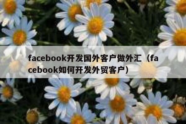 facebook开发国外客户做外汇(facebook如何开发外贸客户) 第1张 facebook开发国外客户做外汇(facebook如何开发外贸客户) 第1张