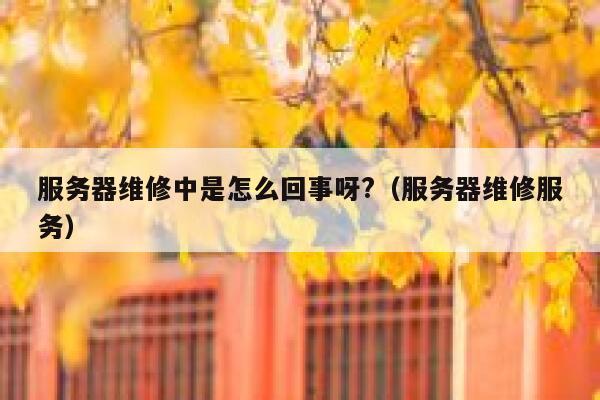 服务器维修中是怎么回事呀?（服务器维修服务） 第1张