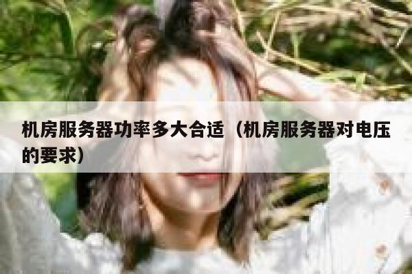 机房服务器功率多大合适（机房服务器对电压的要求） 第1张