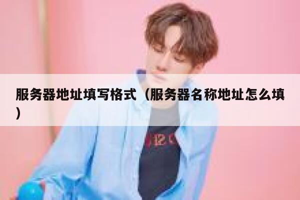 服务器地址填写格式（服务器名称地址怎么填） 第1张