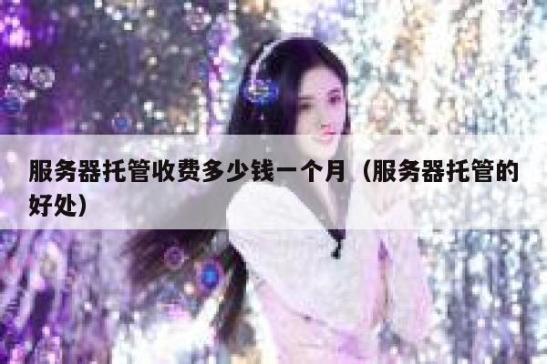 服务器托管收费多少钱一个月（服务器托管的好处） 第1张