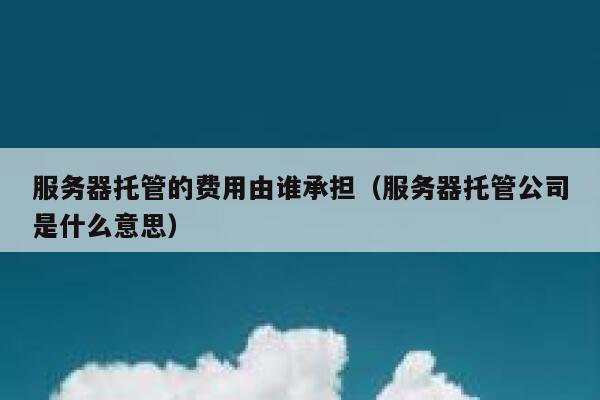 服务器托管的费用由谁承担（服务器托管公司是什么意思） 第1张