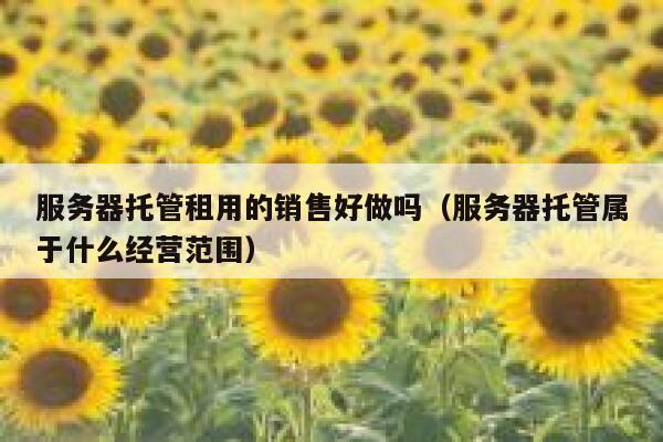 服务器托管租用的销售好做吗（服务器托管属于什么经营范围） 第1张