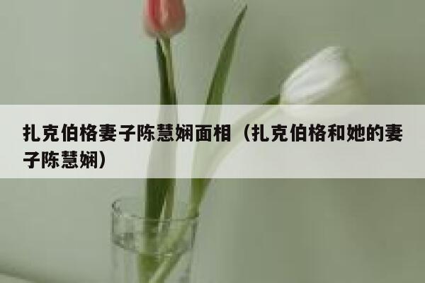扎克伯格妻子陈慧娴面相（扎克伯格和她的妻子陈慧娴） 第1张