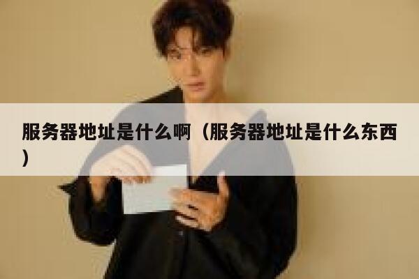 服务器地址是什么啊(服务器地址是什么东西) 第1张 服务器地址是什么啊(服务器地址是什么东西) 第1张