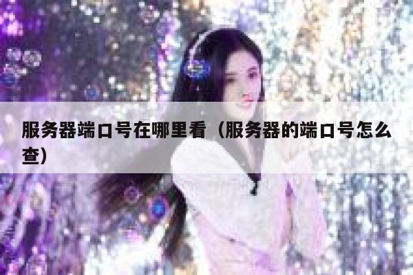 服务器端口号在哪里看（服务器的端口号怎么查） 第1张