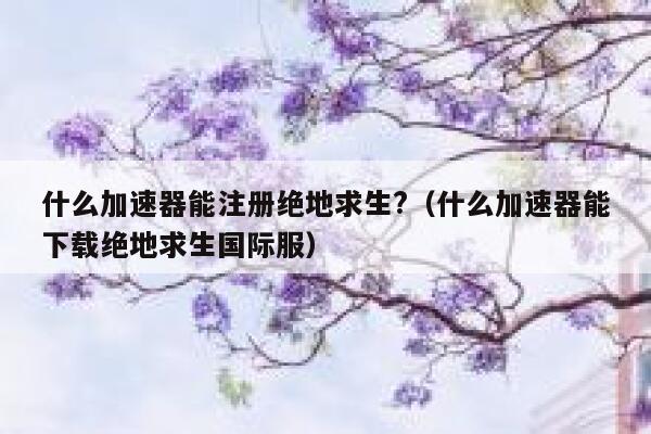 什么加速器能注册绝地求生?（什么加速器能下载绝地求生国际服） 第1张