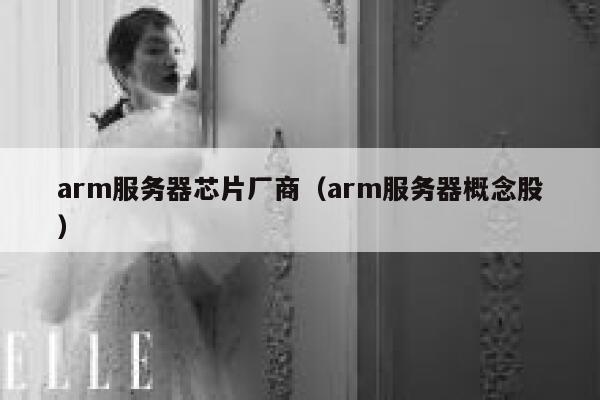 arm服务器芯片厂商（arm服务器概念股） 第1张