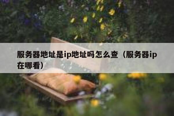 服务器地址是ip地址吗怎么查（服务器ip在哪看） 第1张