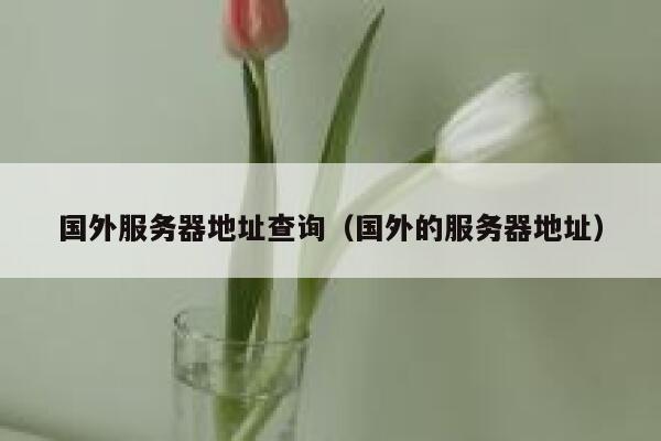 国外服务器地址查询（国外的服务器地址） 第1张