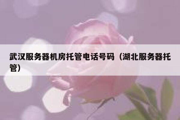 武汉服务器机房托管电话号码（湖北服务器托管） 第1张