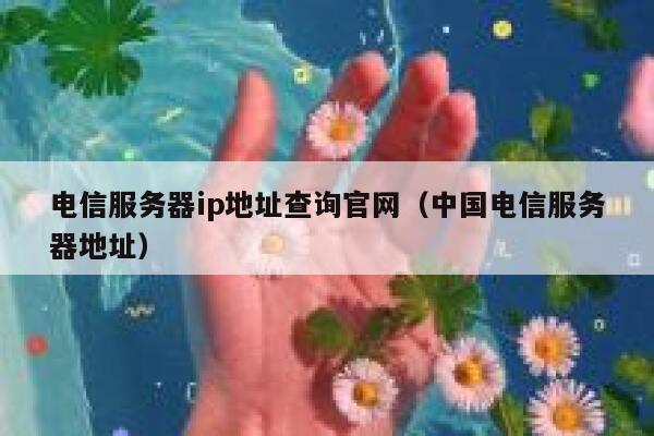 电信服务器ip地址查询官网（中国电信服务器地址） 第1张