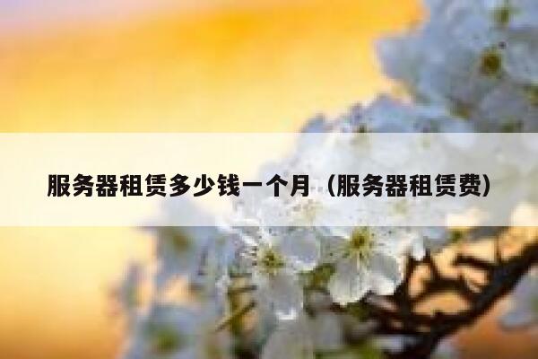 服务器租赁多少钱一个月(服务器租赁费) 第1张 服务器租赁多少钱一个月(服务器租赁费) 第1张