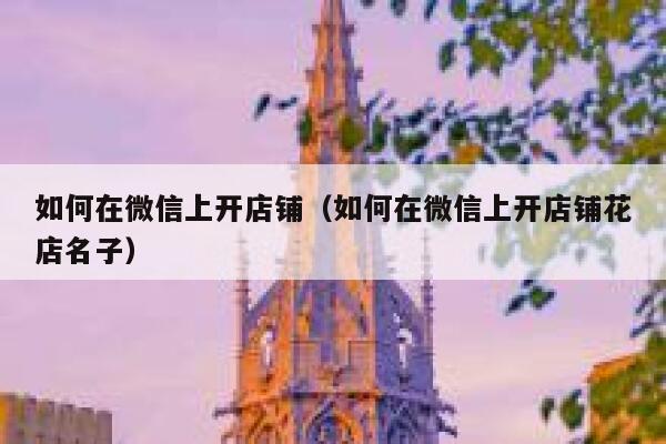 如何在微信上开店铺（如何在微信上开店铺花店名子） 第1张