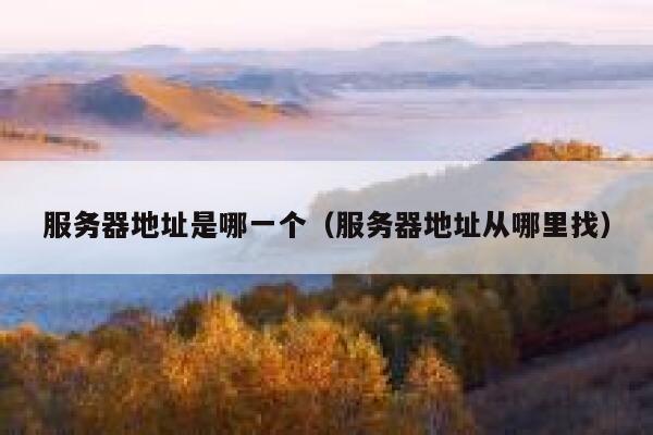 服务器地址是哪一个(服务器地址从哪里找) 第1张 服务器地址是哪一个(服务器地址从哪里找) 第1张