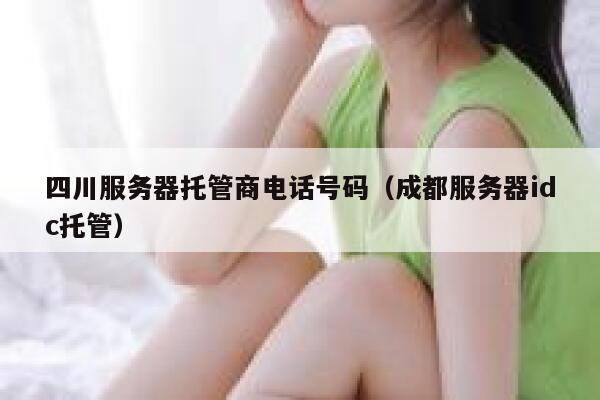 四川服务器托管商电话号码(成都服务器idc托管) 第1张 四川服务器托管商电话号码(成都服务器idc托管) 第1张