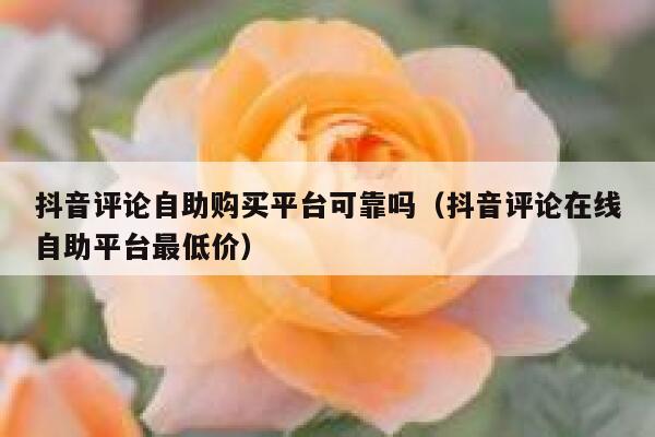 抖音评论自助购买平台可靠吗（抖音评论在线自助平台最低价） 第1张
