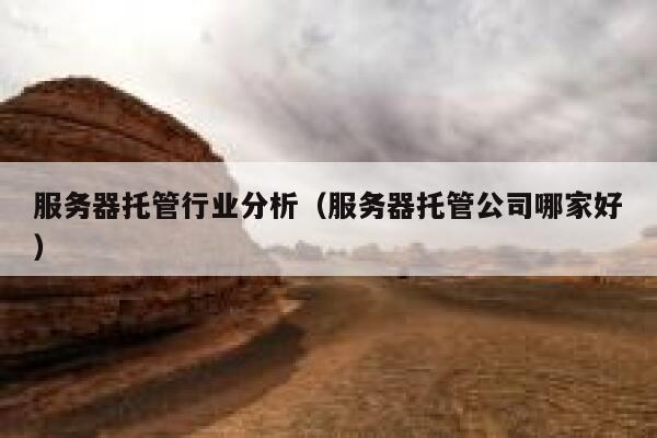 服务器托管行业分析（服务器托管公司哪家好） 第1张