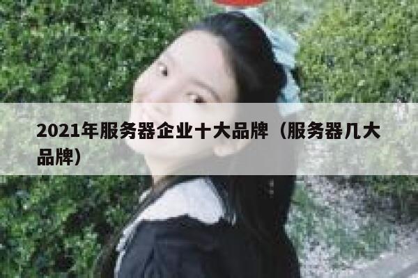 2021年服务器企业十大品牌（服务器几大品牌） 第1张
