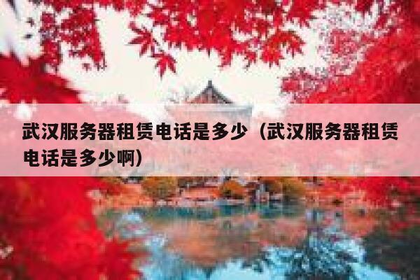 武汉服务器租赁电话是多少(武汉服务器租赁电话是多少啊) 第1张 武汉服务器租赁电话是多少(武汉服务器租赁电话是多少啊) 第1张