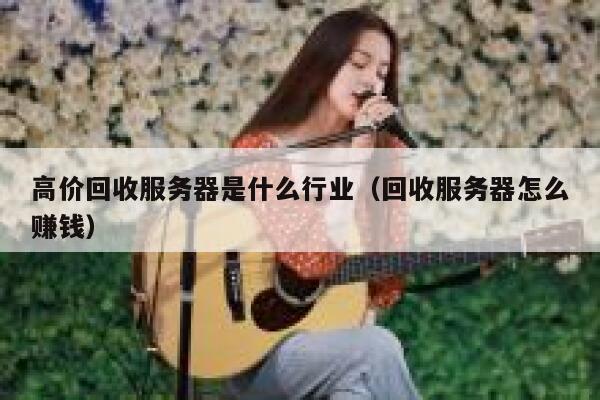 高价回收服务器是什么行业(回收服务器怎么赚钱) 第1张 高价回收服务器是什么行业(回收服务器怎么赚钱) 第1张