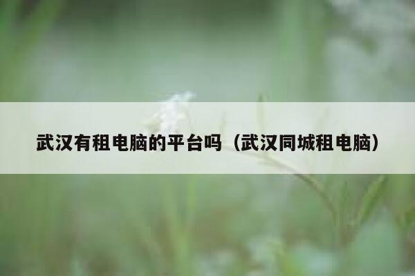 武汉有租电脑的平台吗(武汉同城租电脑) 第1张 武汉有租电脑的平台吗(武汉同城租电脑) 第1张