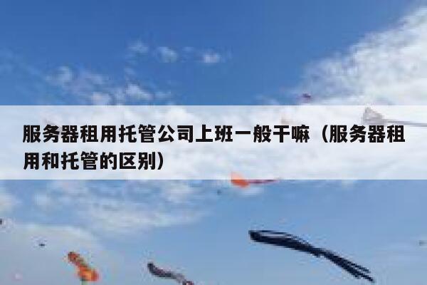 服务器租用托管公司上班一般干嘛（服务器租用和托管的区别） 第1张