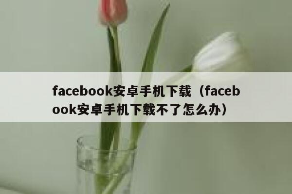 facebook安卓手机下载(facebook安卓手机下载不了怎么办) 第1张 facebook安卓手机下载(facebook安卓手机下载不了怎么办) 第1张