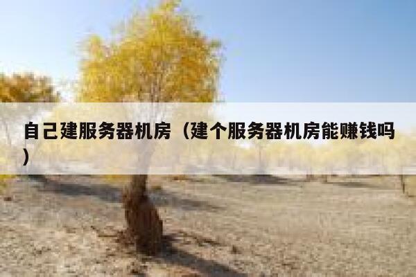 自己建服务器机房(建个服务器机房能赚钱吗) 第1张 自己建服务器机房(建个服务器机房能赚钱吗) 第1张