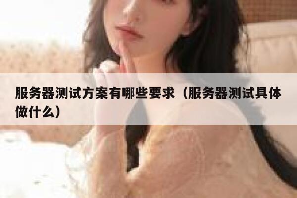 服务器测试方案有哪些要求（服务器测试具体做什么） 第1张