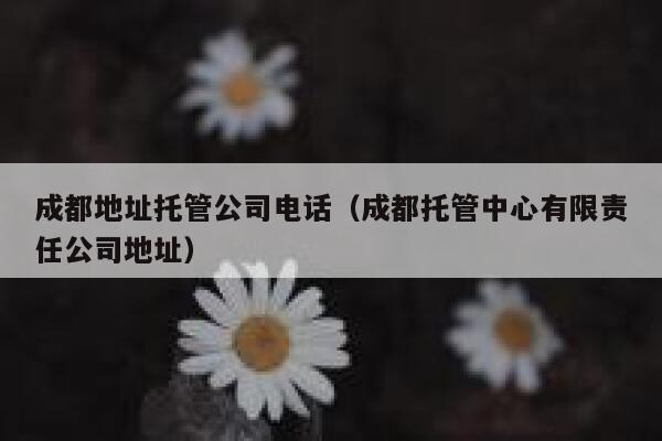 成都地址托管公司电话（成都托管中心有限责任公司地址） 第1张