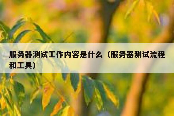 服务器测试工作内容是什么（服务器测试流程和工具） 第1张